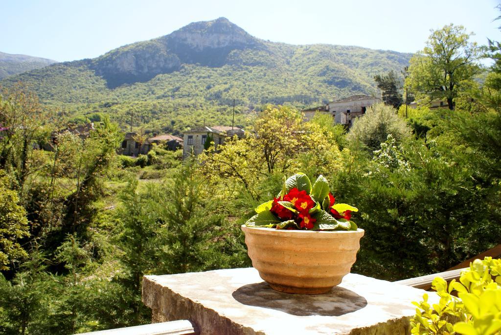 Gamila Rocks Mountain Hotel Aristi Dış mekan fotoğraf
